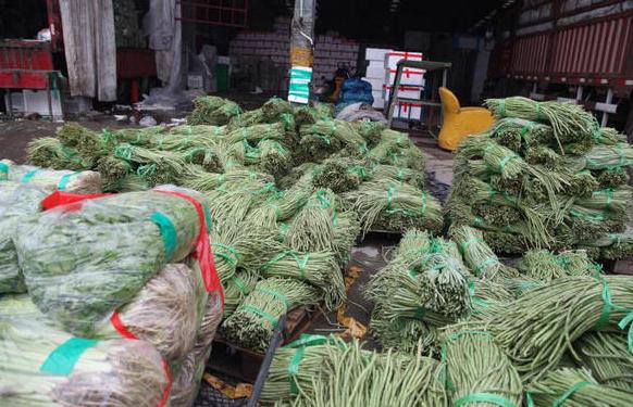 河南万邦蔬菜价格行情概览与动态分析