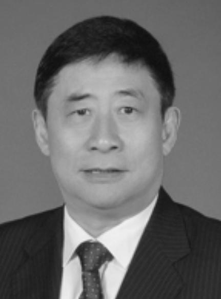 洪浩演员，演艺之路的璀璨之星