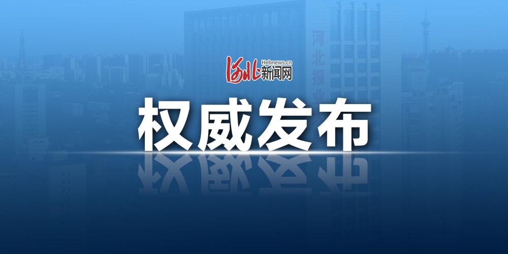 河北薪资调整最新动态，变化中的机遇与成长力量，职场薪酬变革观察