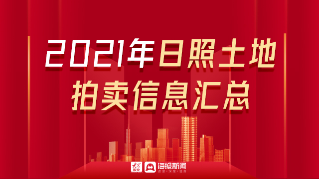 日照最新拍卖信息公告，多元视角下的观察与深度解析