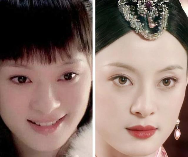 万凤之王演员表深度解析，角色与演员魅力展现