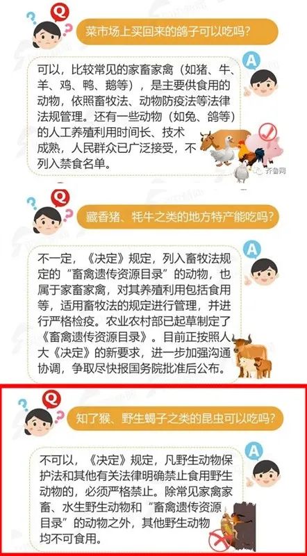 最新禁食清单，科技重塑健康，未来健康触手可及