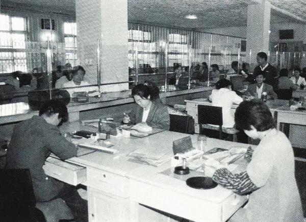 神州信息最新动态，探索自然美景之旅，寻觅内心平和之地