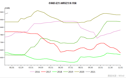 花生期货价格行情详解，如何掌握价格走势与行情分析