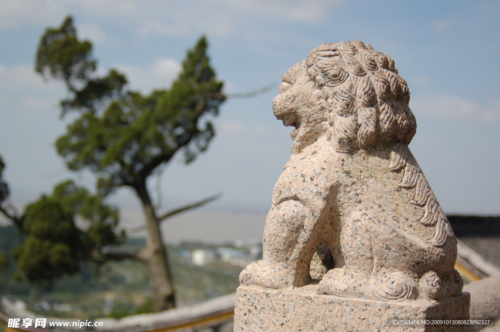 石狮最新写真，蜕变中的自信与力量展现