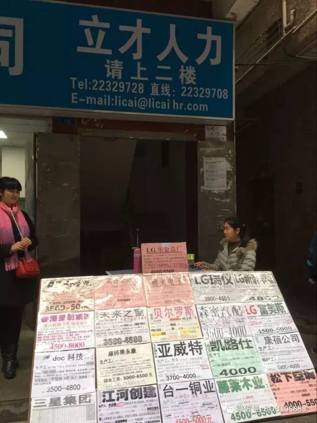 枝江临时工招聘信息全面概览
