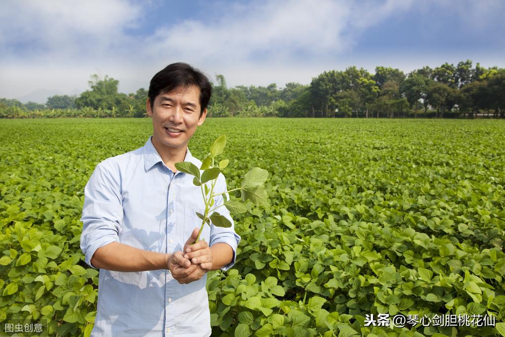 寿光人才市场最新职位招聘，科技引领智能招聘新时代的开启