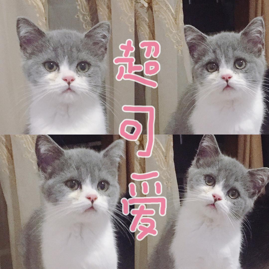 高压旋转接头 第211页
