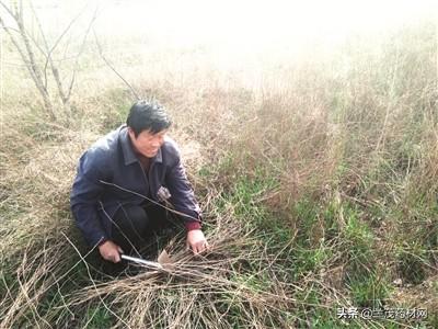 高压旋转接头 第209页