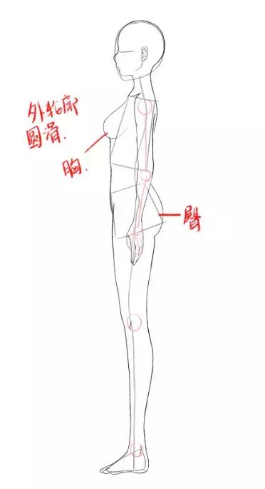 动漫女画，艺术之美与创作魅力的独特展现