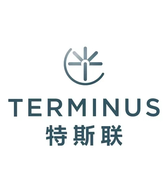 最新公司完成任务的详细步骤指南，从入门到精通的全方位指南