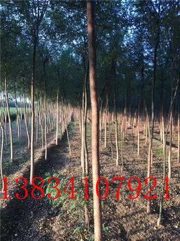 旋转接头 第192页