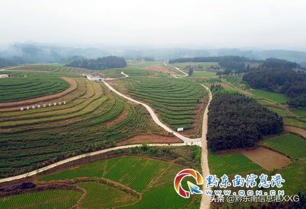 旋转接头 第190页