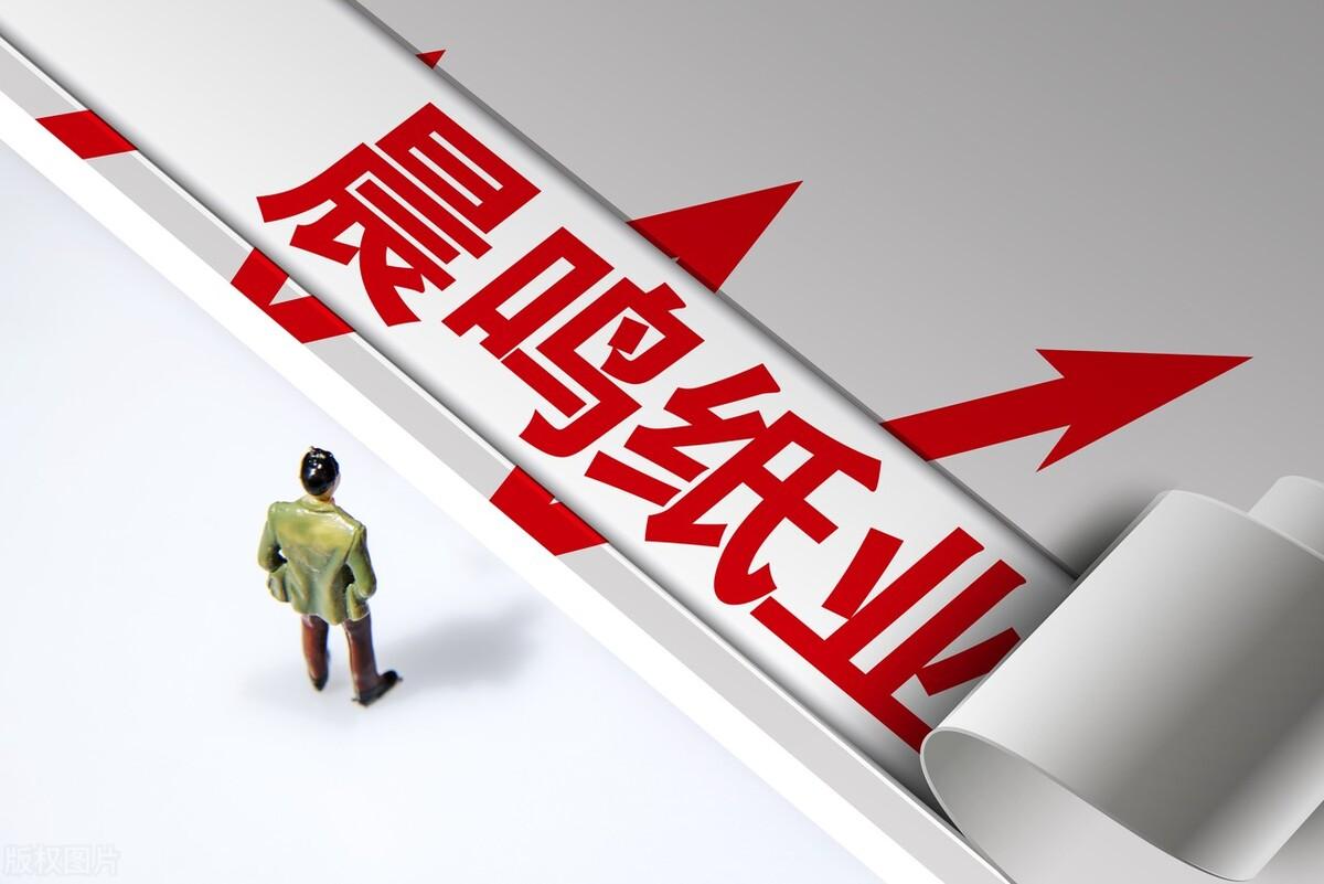 寿光晨鸣纸业最新动态，变化中的力量与学习自信的交响曲