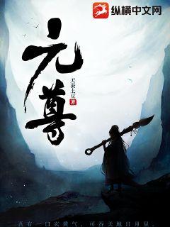 元尊最新篇章深度解析，探讨某一观点的独特视角