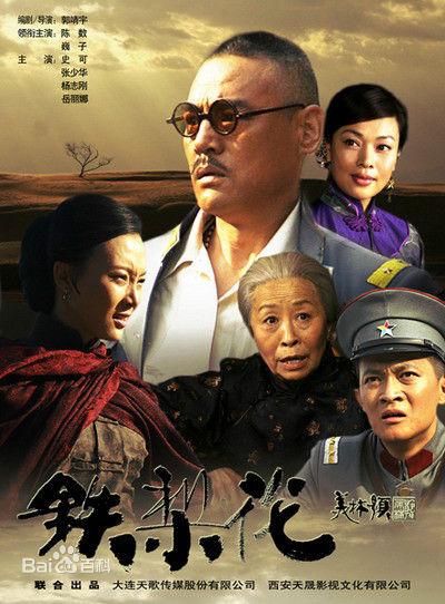 中国远征军电视剧，历史与时代的见证，英勇抗战的壮丽篇章