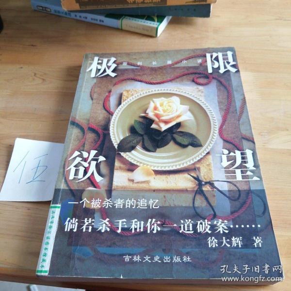 极致欲望最新篇章，日常小确幸与友情之光的探索