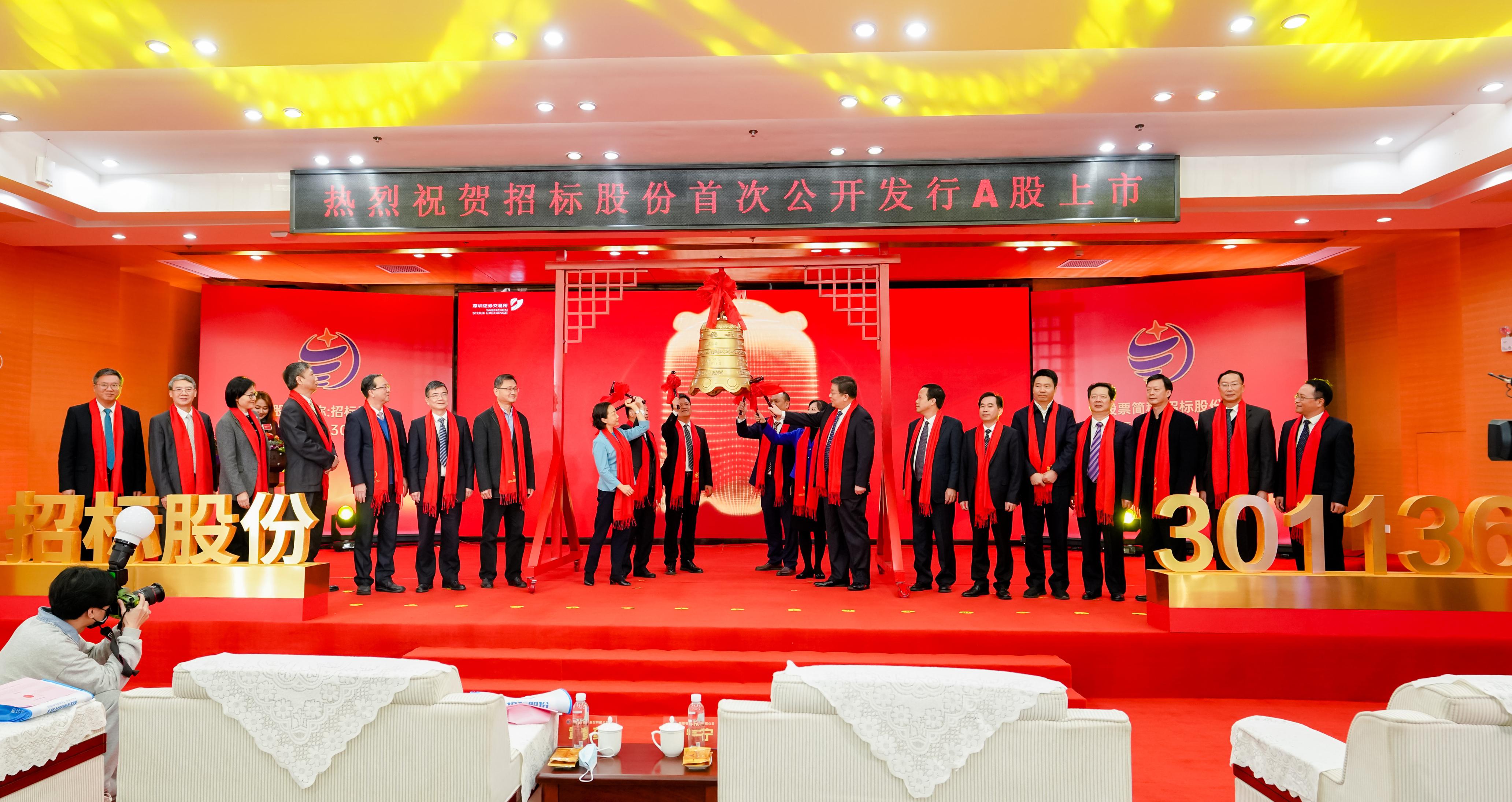 境内上市企业的要点解析与概览