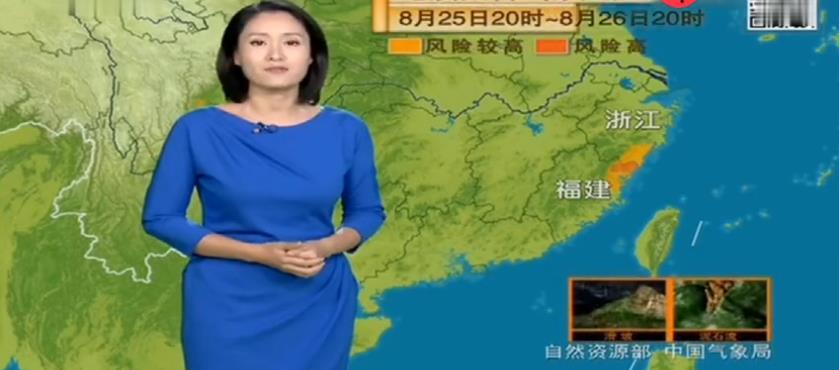 最新热带扰动观点论述，解析与探讨其影响及发展趋势