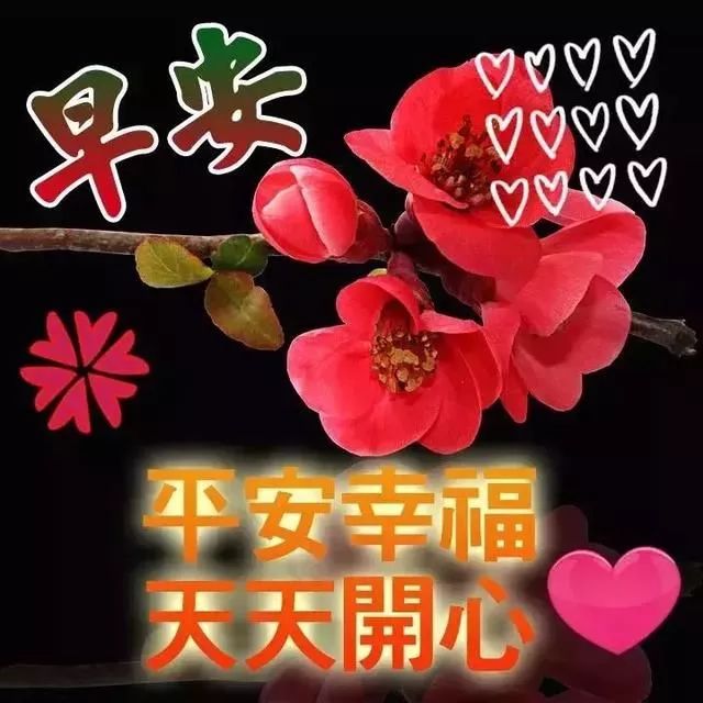 最新早安祝福短信，温馨问候开启美好一天