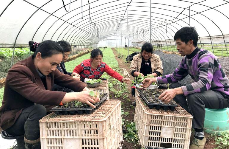 高压旋转接头 第158页
