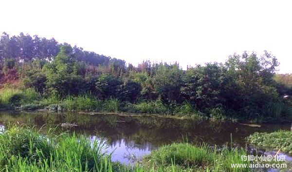 天津最新野钓地点揭秘，探索之旅与垂钓观点分享