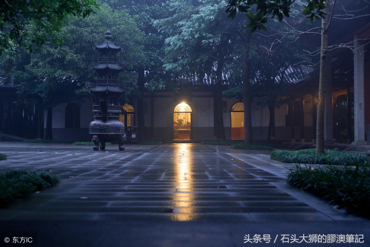 探寻乡村修真之旅，小农民修真最新章节的魅力与奥秘