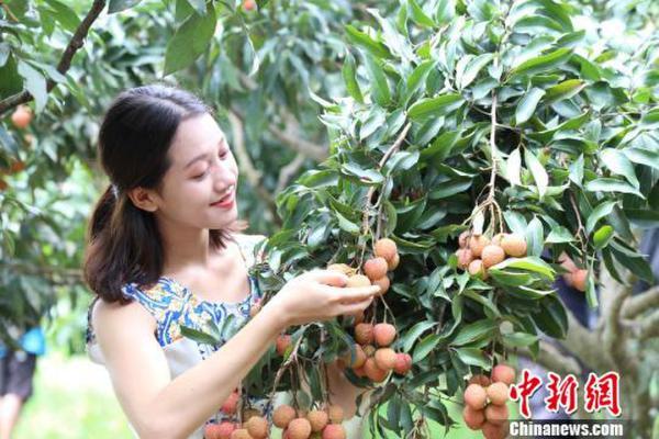 高压旋转接头 第130页
