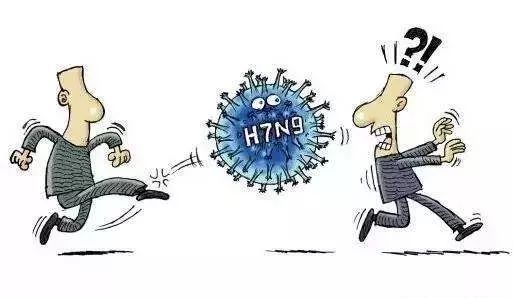 最新流感传播深度解析，你准备好了吗？