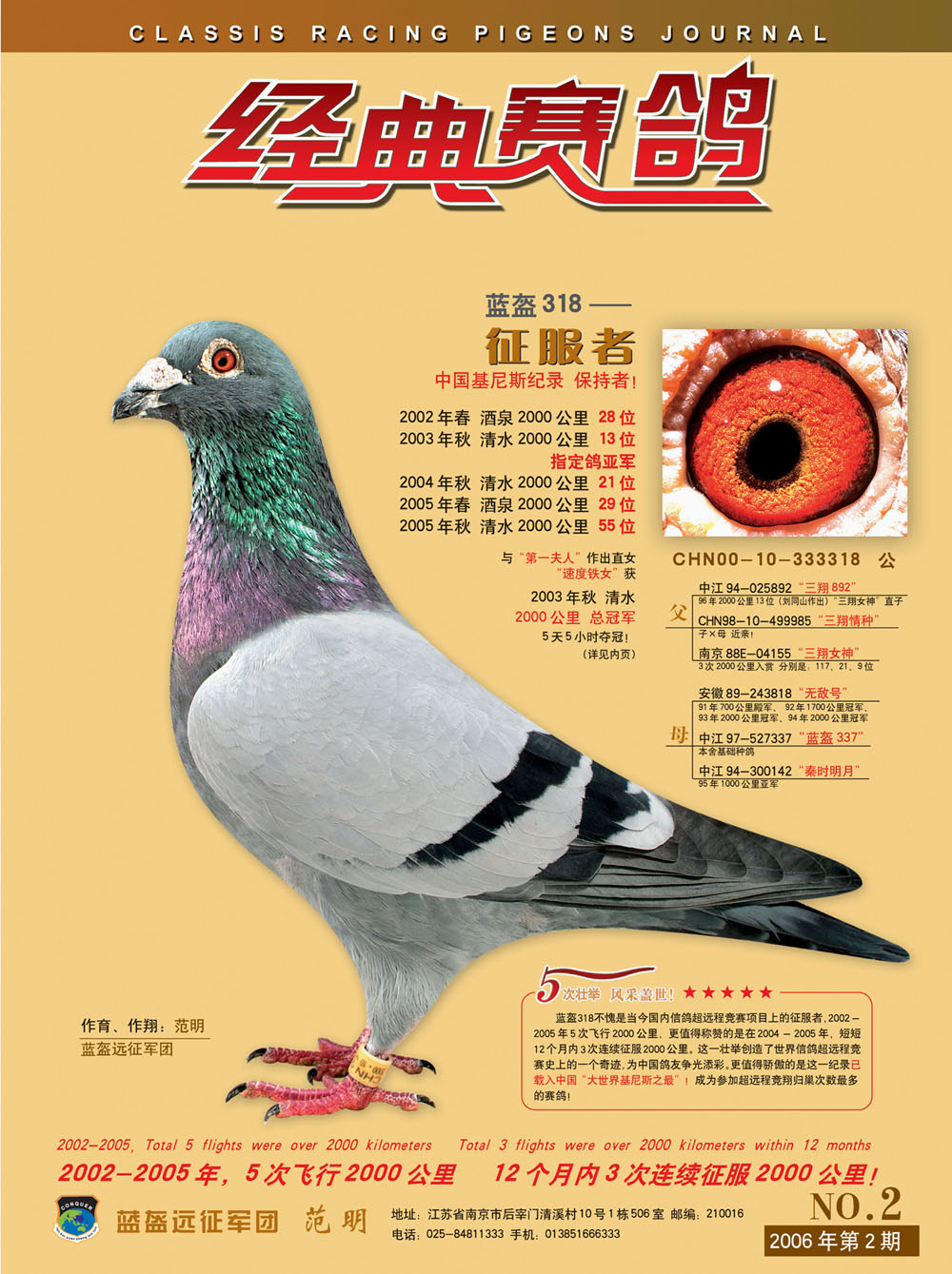 最新鸽巡，翱翔知识海洋，成就自信翅膀