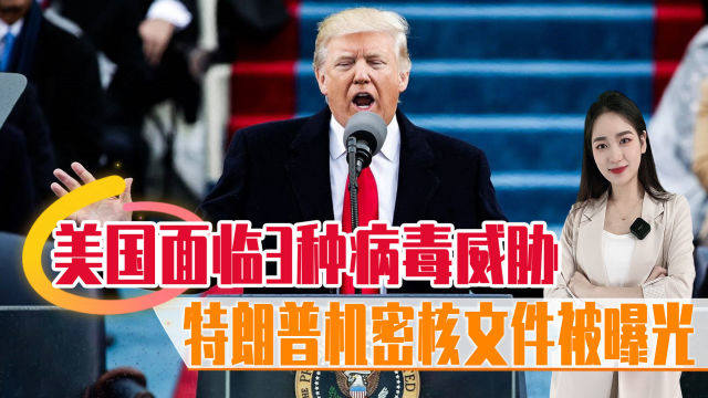 美国面临的挑战与应对指南，如何面对并克服最新噩耗