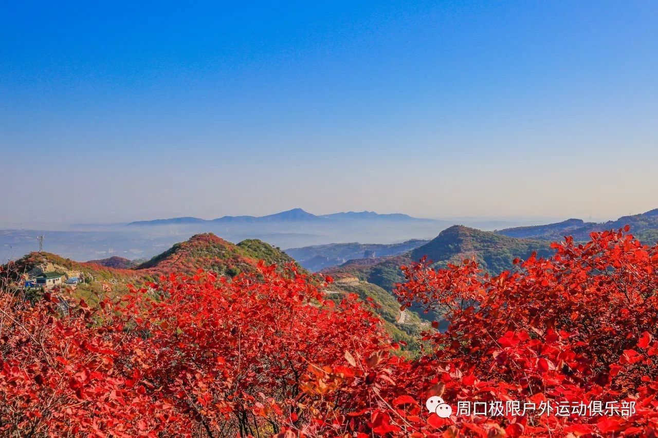 长寿山最新探秘，小巷深处的独特风味