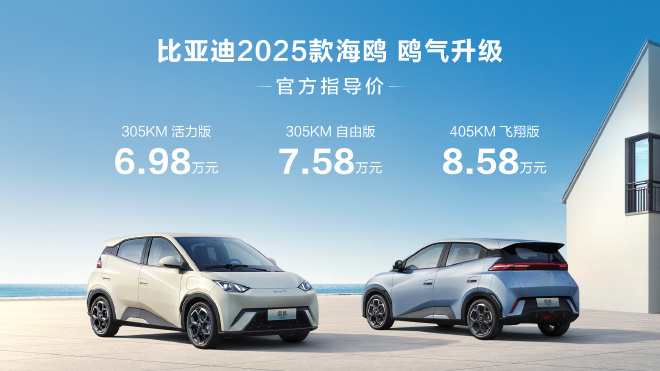 海鸥比亚迪最新引领新能源汽车新潮流趋势