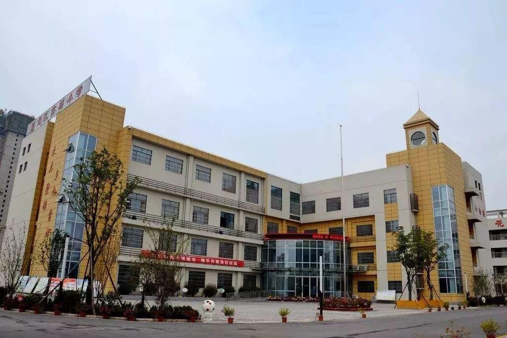 阜阳最新公告详解，任务完成指南与技能学习步骤指南