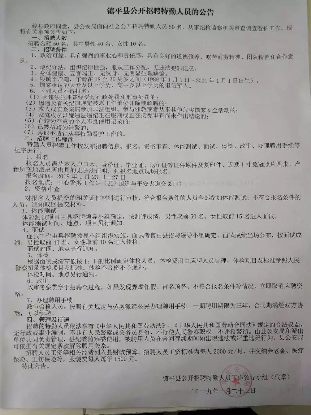 镇平最新公告发布，最新动态及通知汇总