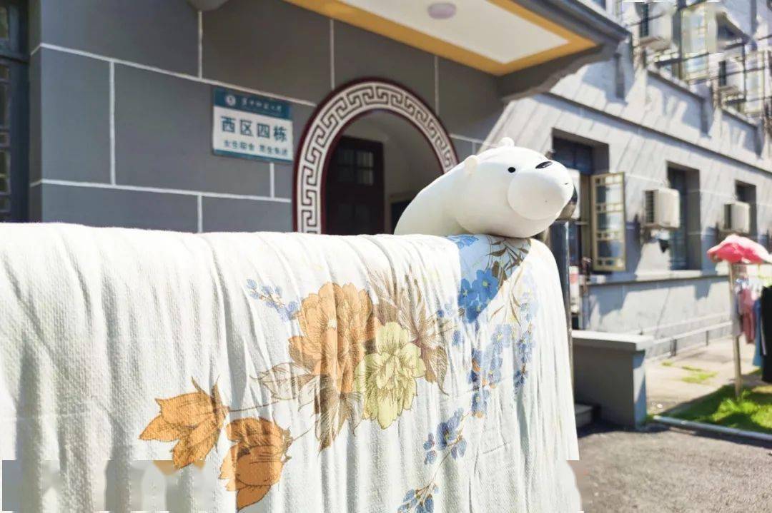 巷弄深处的温暖小店，最新晒被子体验