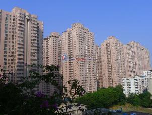 深圳小区最新动态更新
