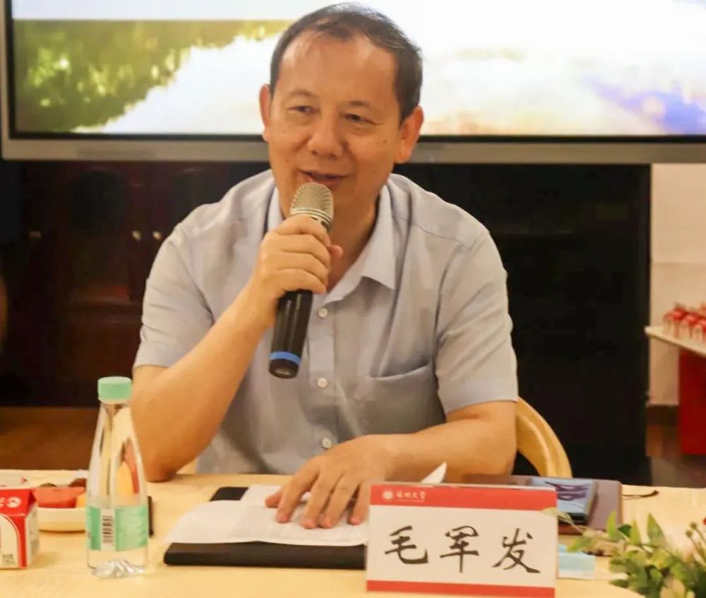 毛军最新消息与小巷独特风味探秘之旅